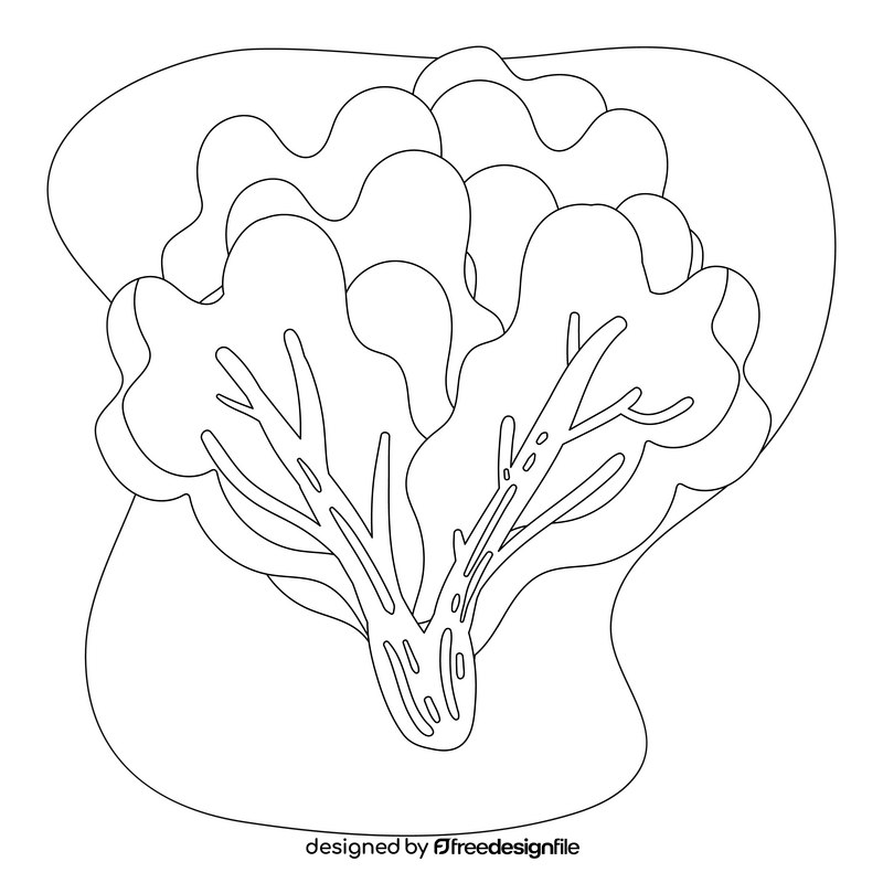 Lettuce drawing black and white clipart