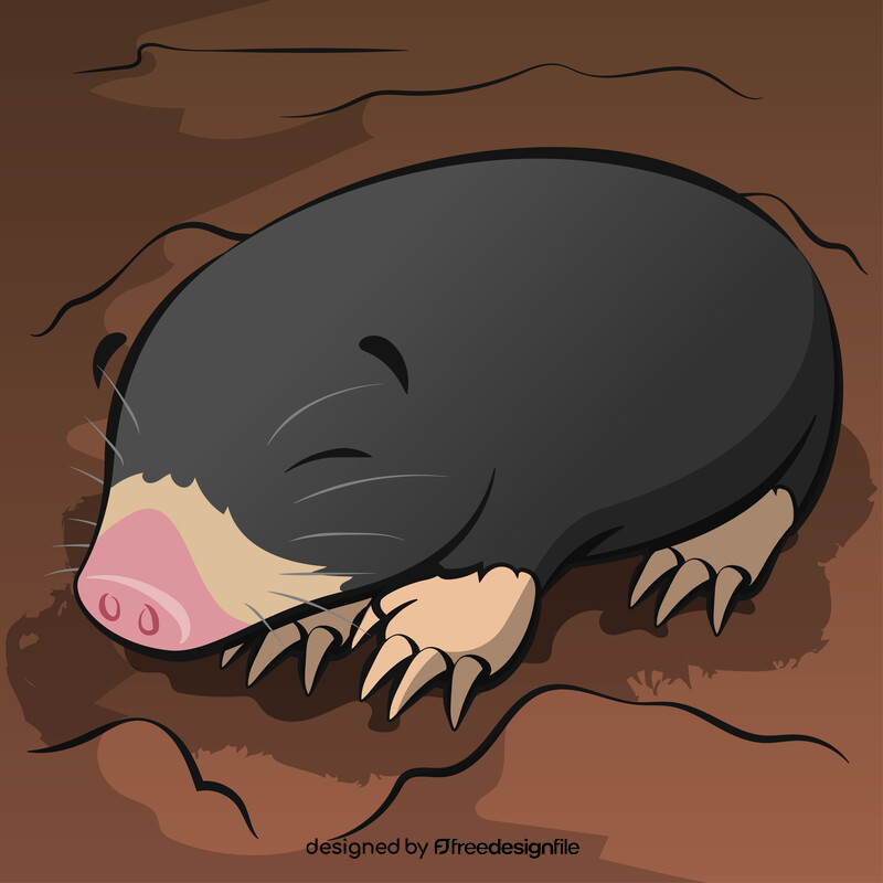 Mole cartoon vector