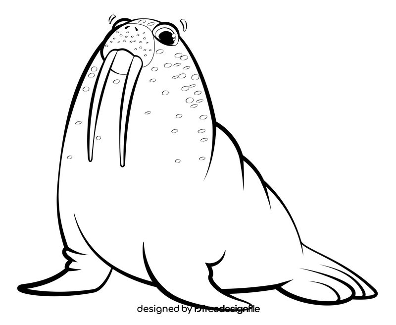 Walrus cartoon black and white clipart