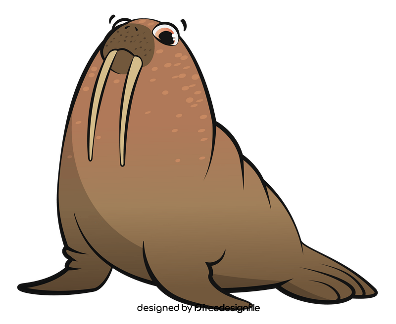 Walrus cartoon clipart