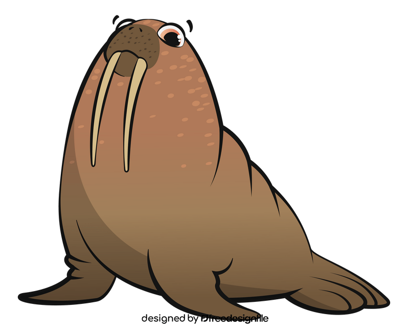 Walrus cartoon clipart