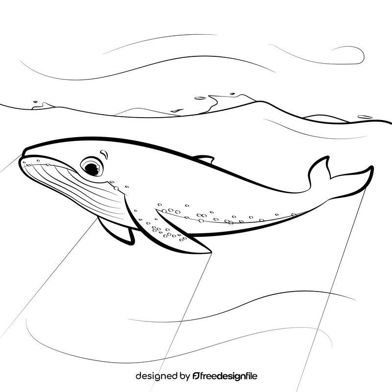 Humpback whale cartoon black and white vector
