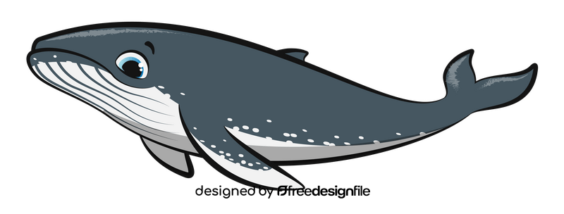 Humpback whale cartoon clipart