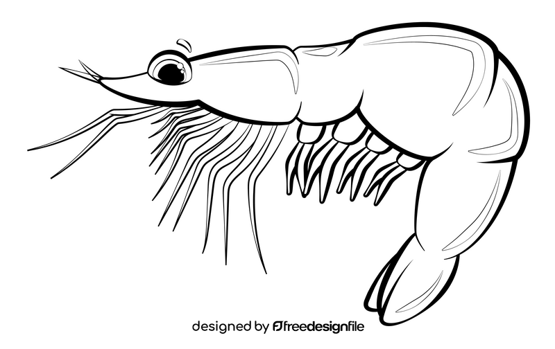 Shrimp cartoon black and white clipart