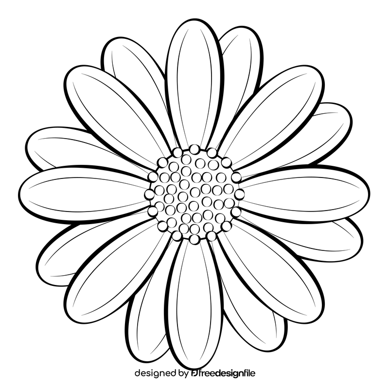 African daisy black and white clipart