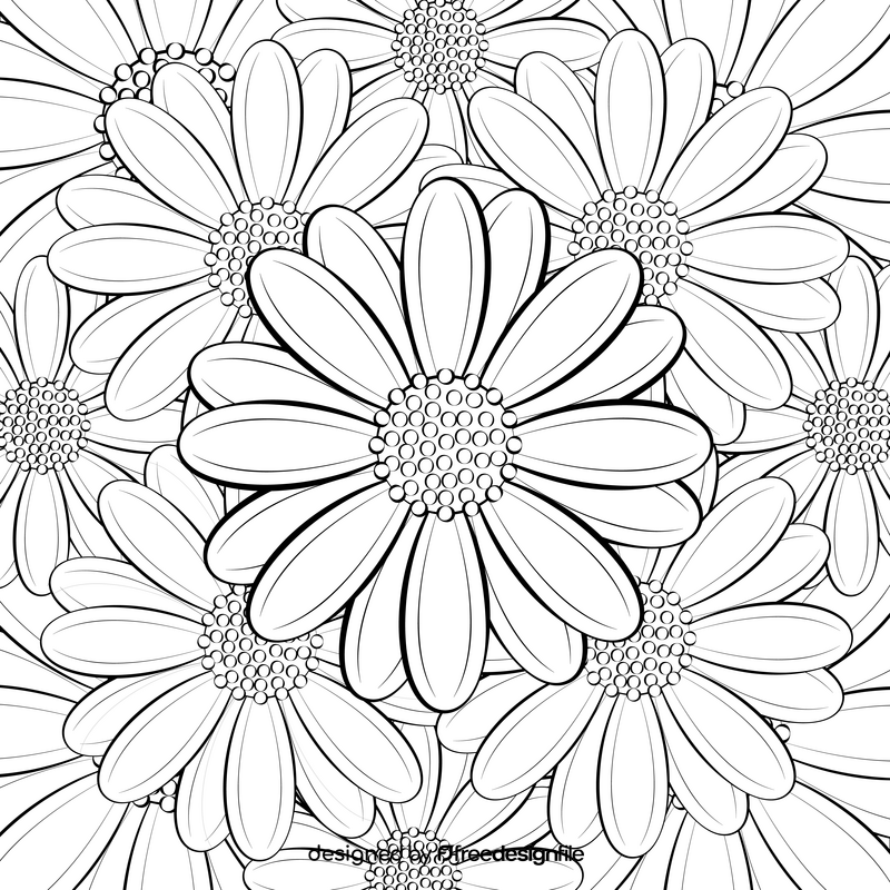 African daisy black and white vector