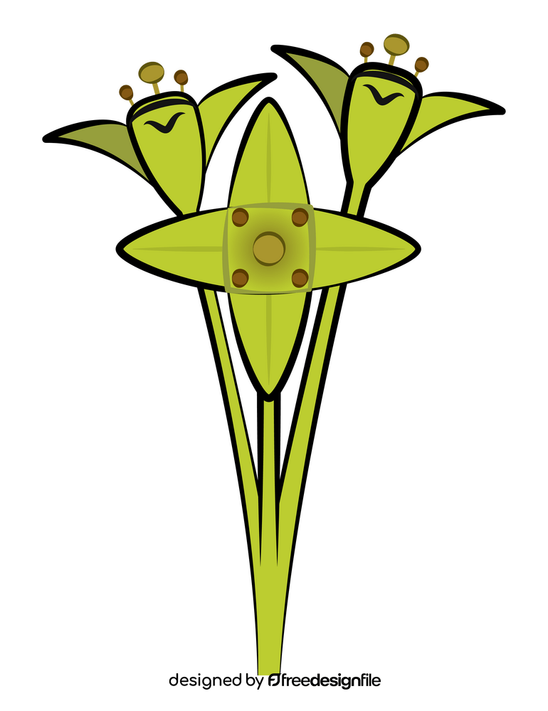 Alchemilla flower clipart