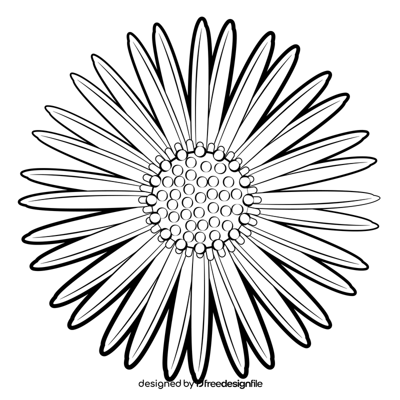 Aster flower black and white clipart