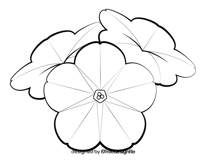 Bush morning glory black and white clipart