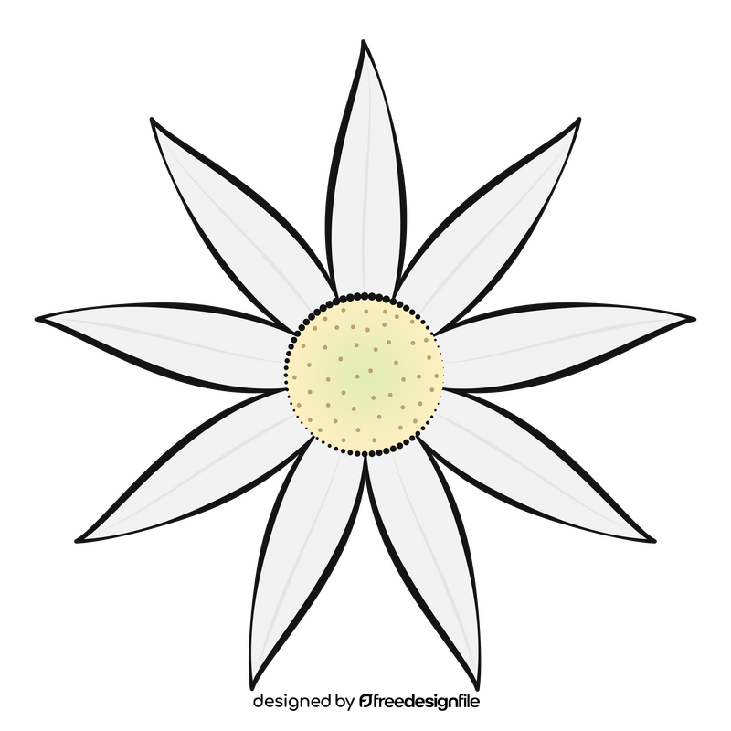 Flannel flower clipart