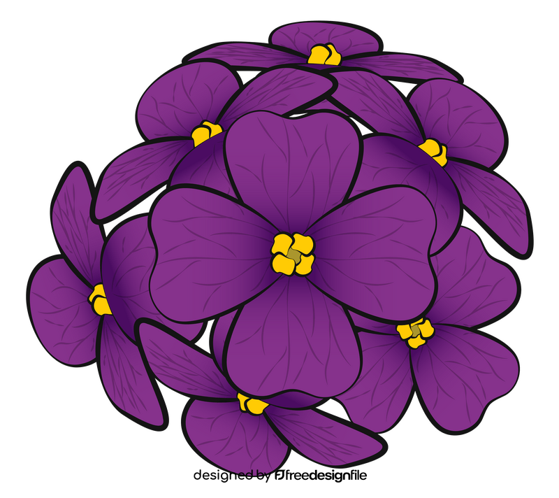 Aubretia flower drawing clipart