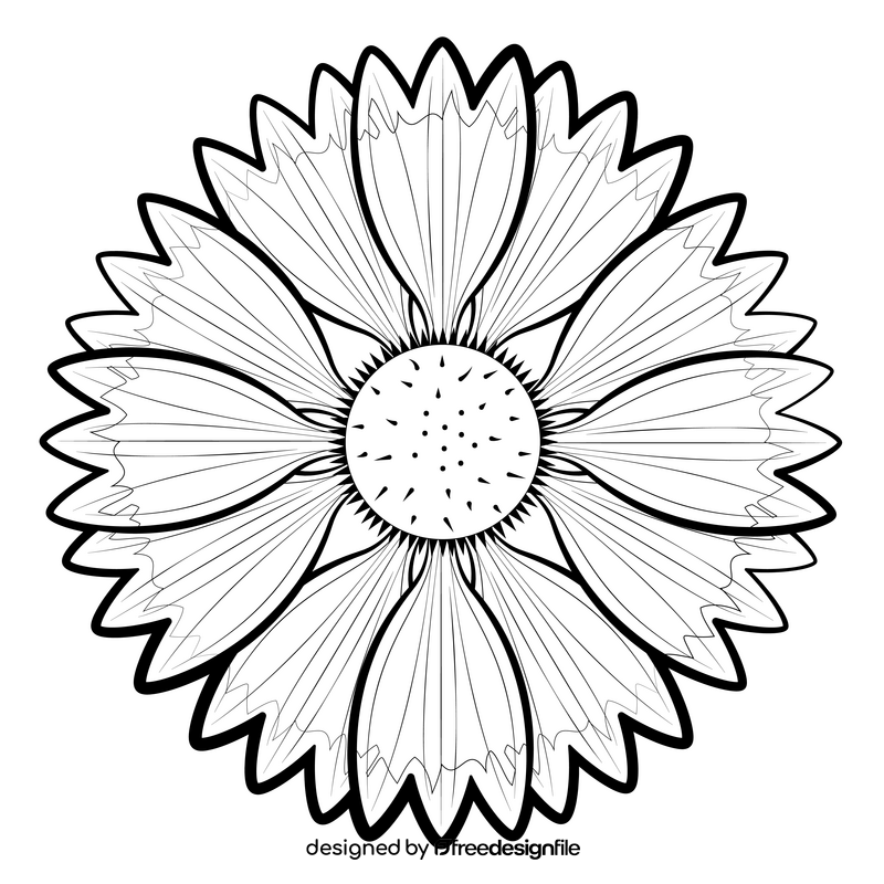 Blanket flower black and white clipart