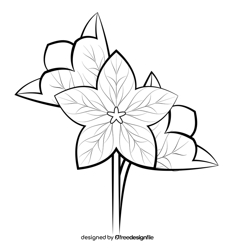 Balloon flower black and white clipart