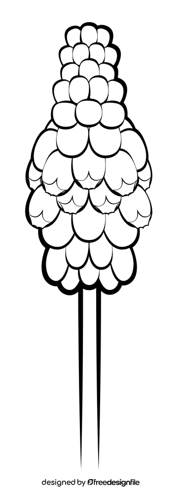 Grape hyacinth flower black and white clipart