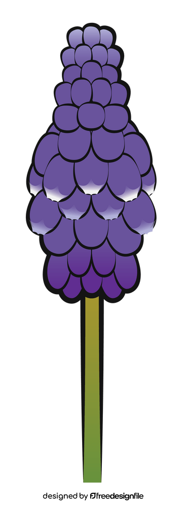 Grape hyacinth flower clipart