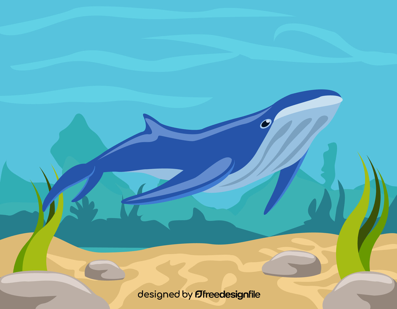 Cartoon whale vector image