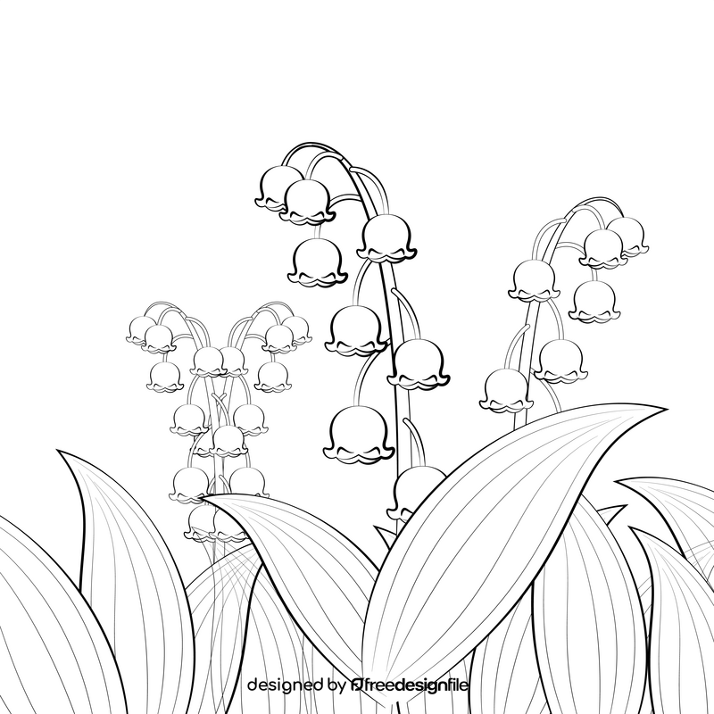 Lily of the valley black and white vector