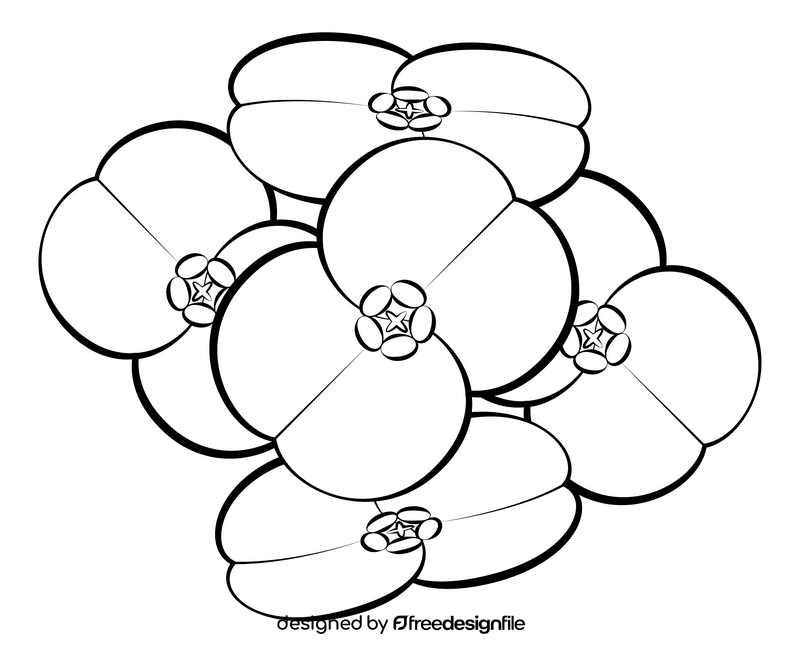 Euphorbia flower black and white clipart