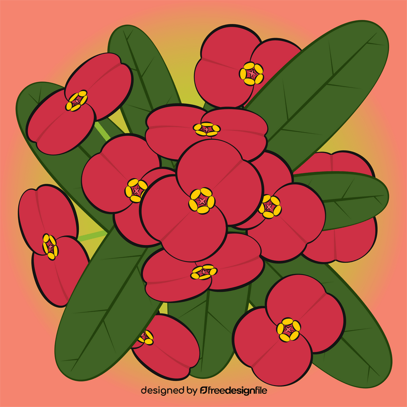 Euphorbia flower vector