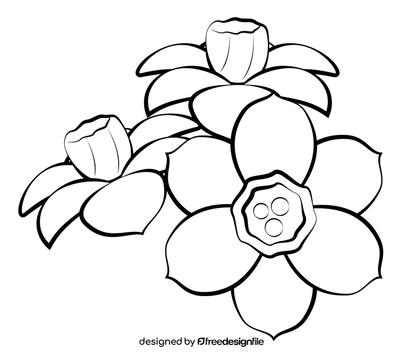 Jonquil flower black and white clipart