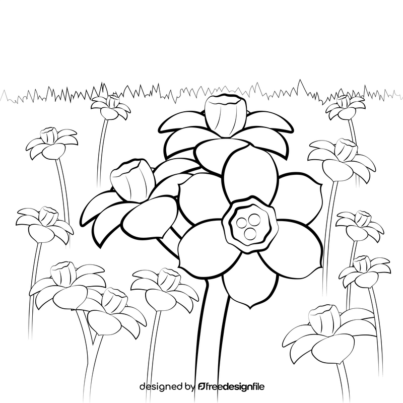 Jonquil flower black and white vector