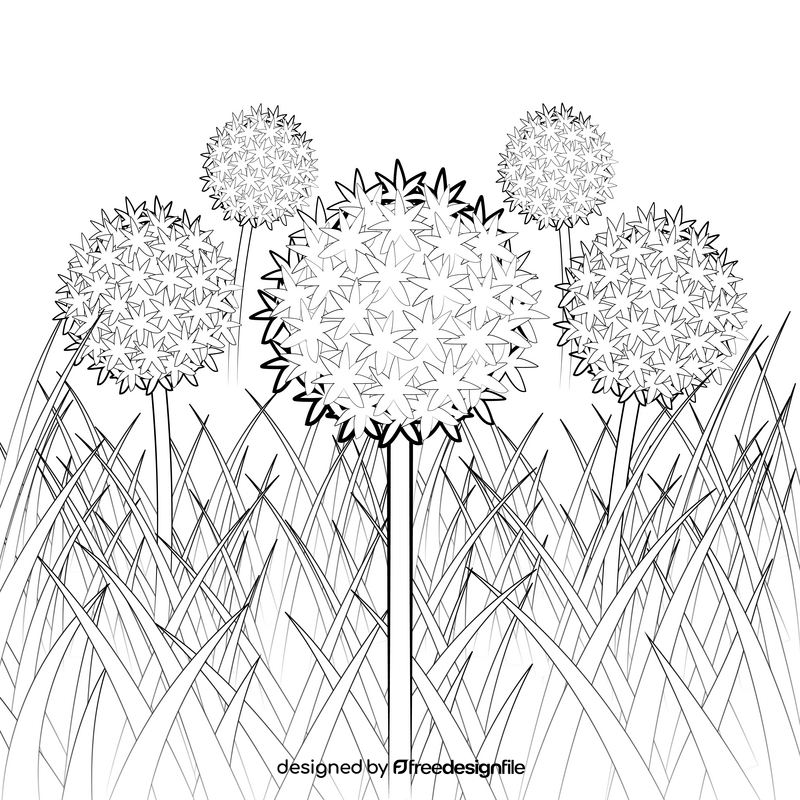 Ornamental onion black and white vector