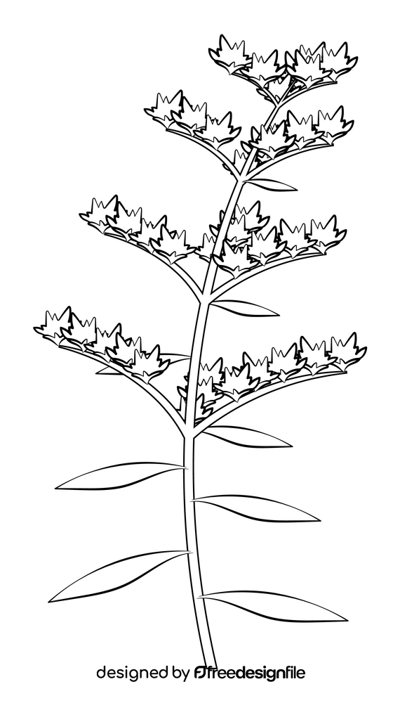 Goldenrod flower black and white clipart