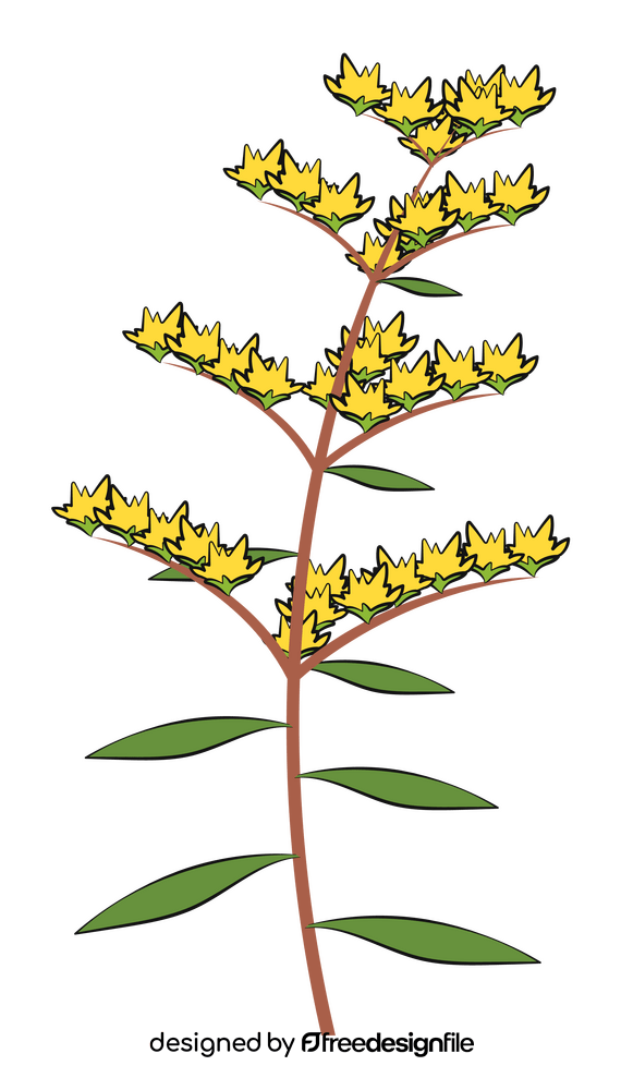 Goldenrod flower clipart