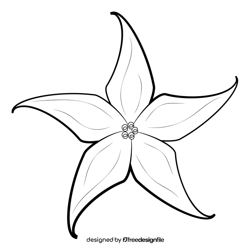 Jaborosa flower black and white clipart