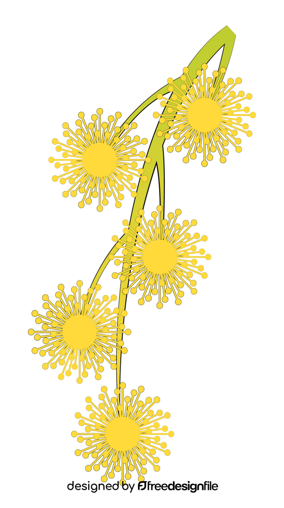 Mimosa flower clipart