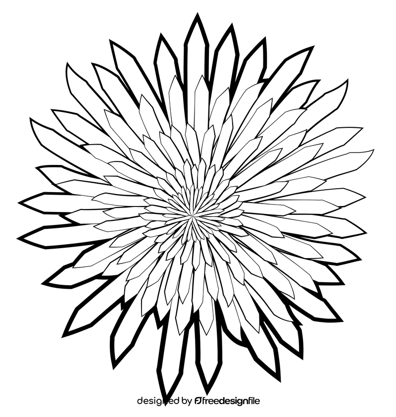 Spider mum spray flower black and white clipart