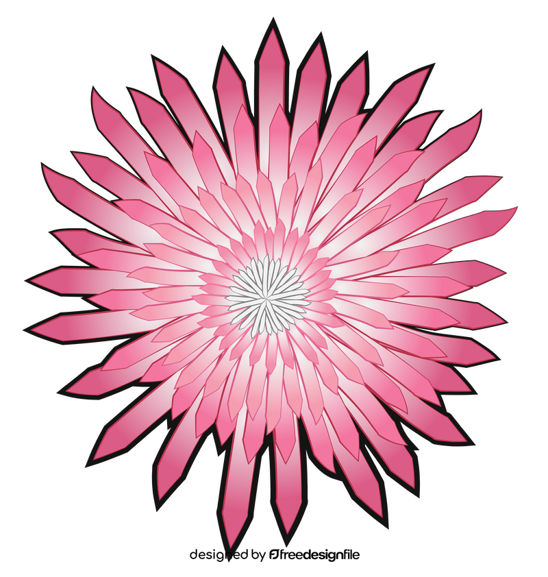 Spider mum spray flower clipart