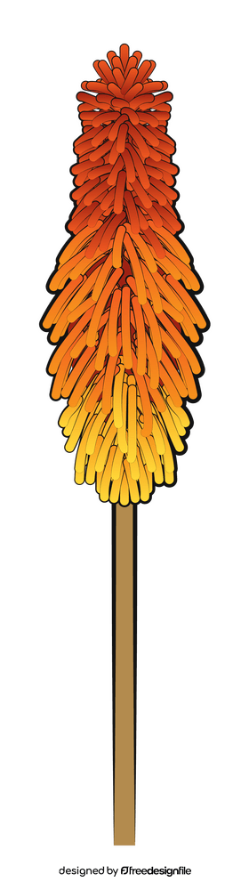 Red hot pokers flower clipart