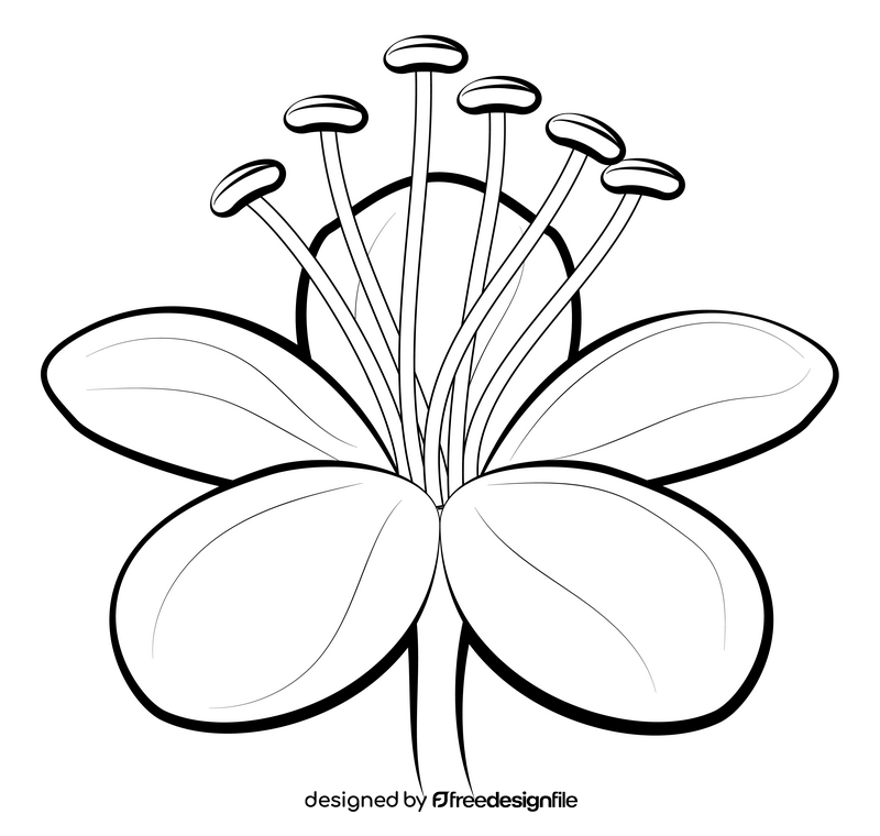 Rock cranesbill flower black and white clipart