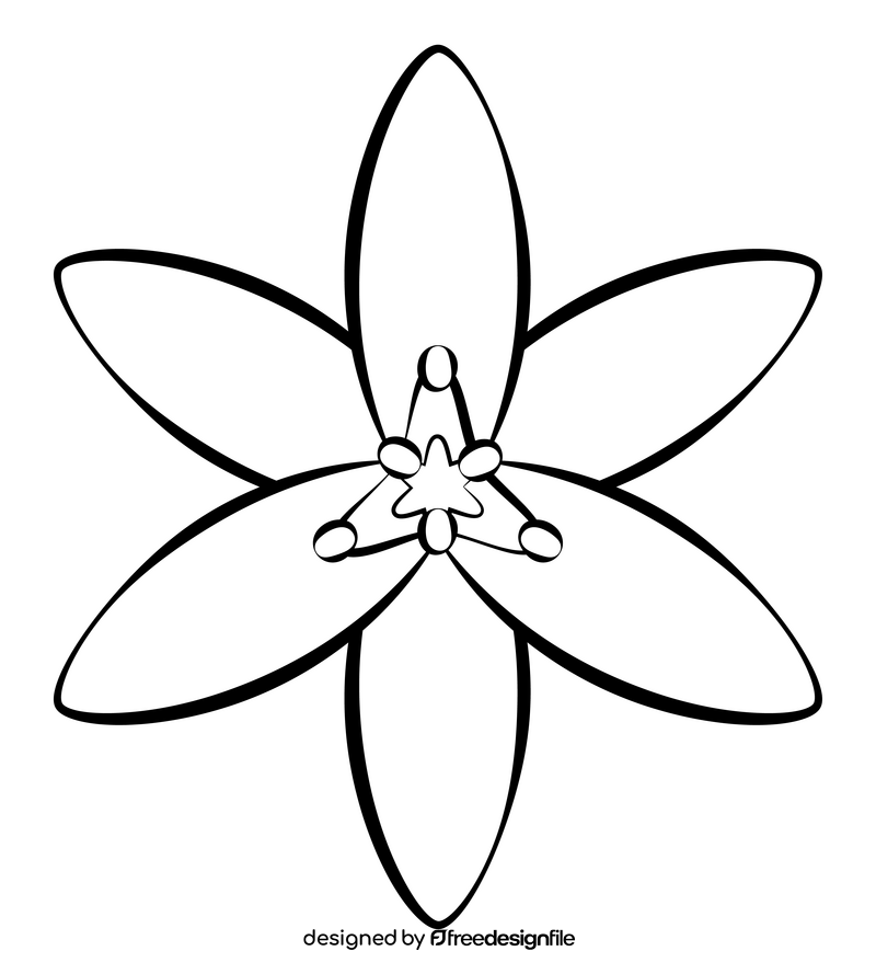 Star of bethlehem black and white clipart