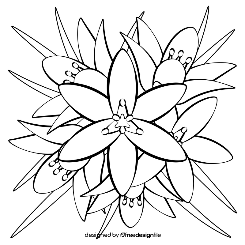 Star of bethlehem black and white vector