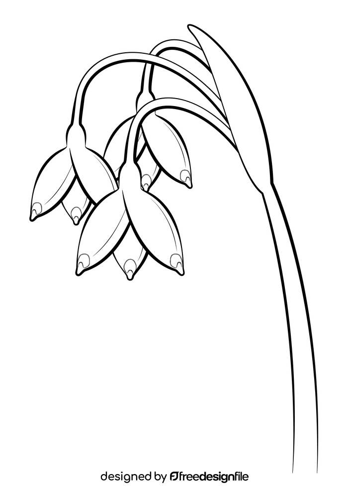 Snowflake flower black and white clipart