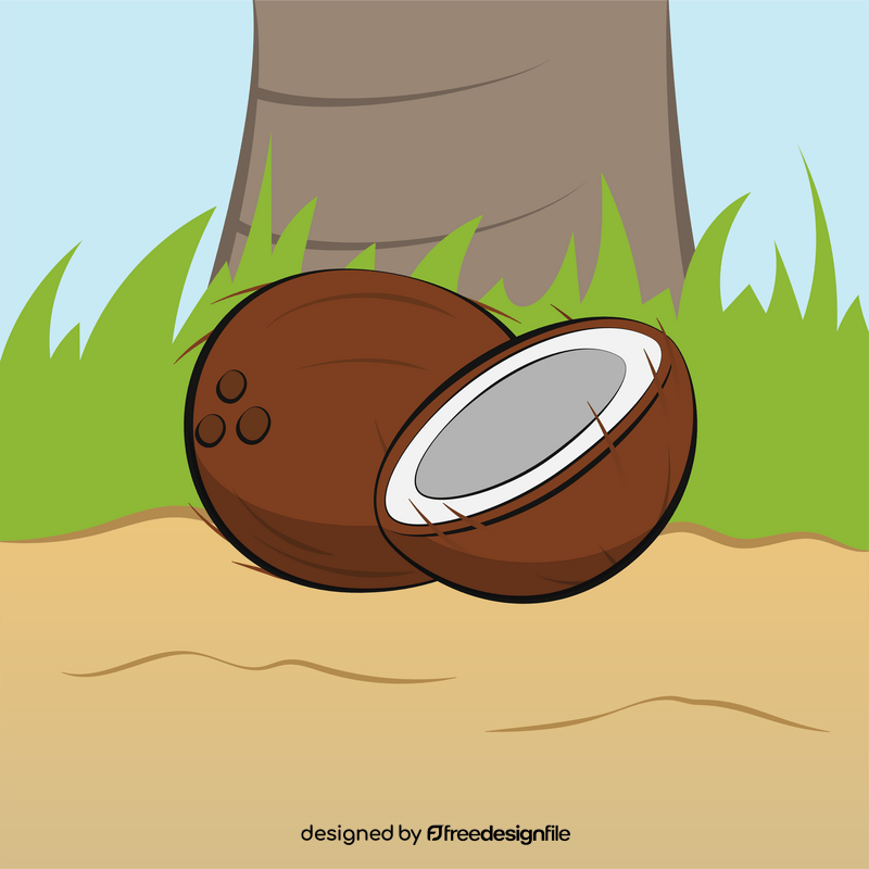 Coconut fruit vector