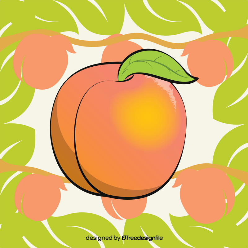 Peach fruit drawing vector