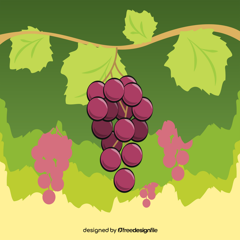 Grapes fruit vector