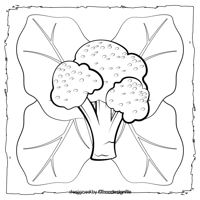 Broccoli vegetable black and white vector