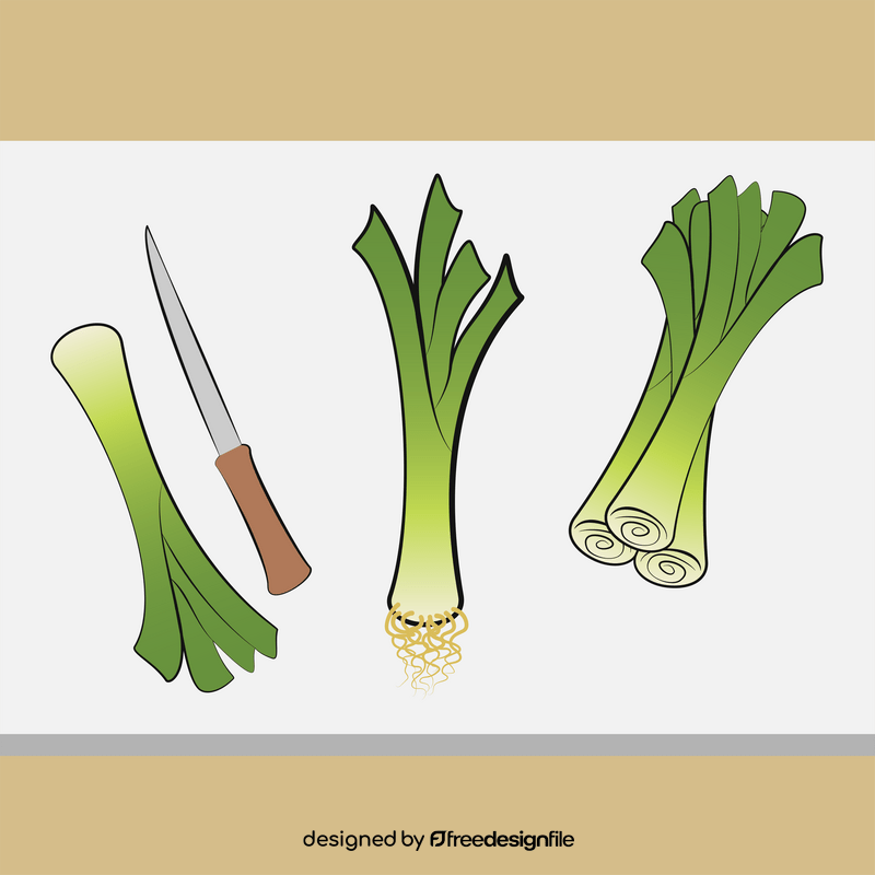 Leeks vegetable vector