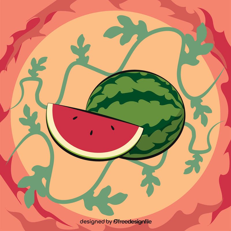 Watermelon fruit with leaves vector
