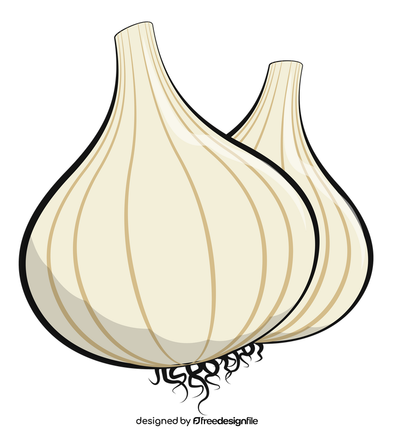 Garlic drawing clipart