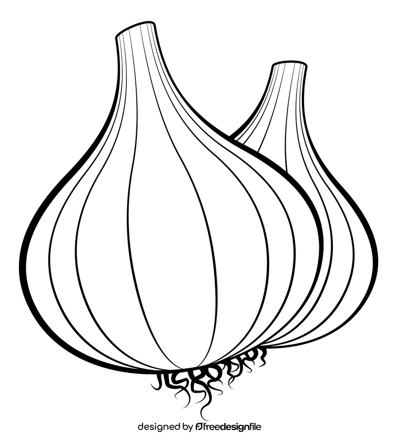 Garlic outline black and white clipart