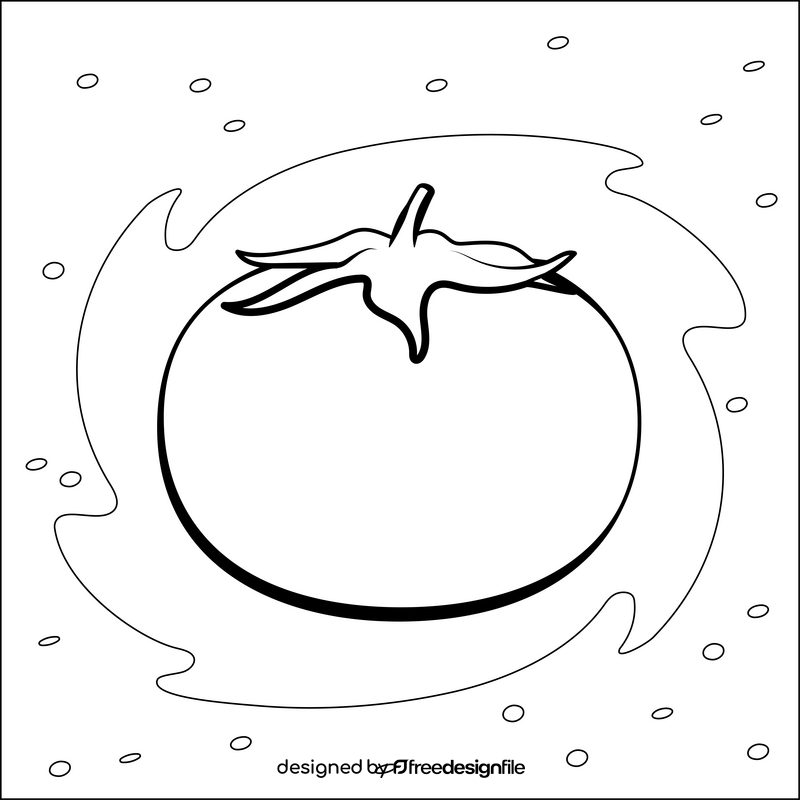 Tomato vegetable drawing black and white vector