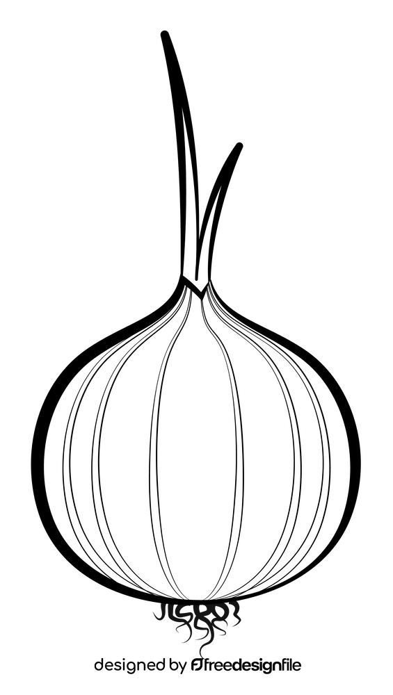 Onion vegetable black and white clipart