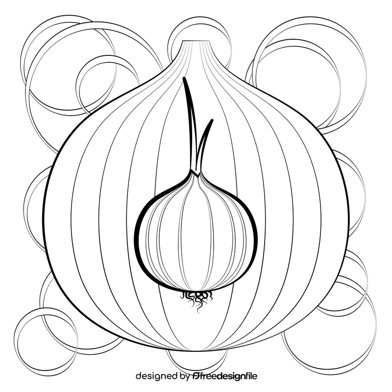 Onion vegetable black and white vector