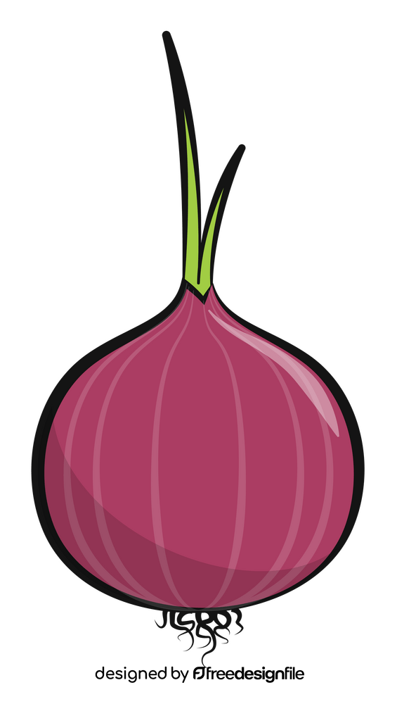 Onion vegetable clipart
