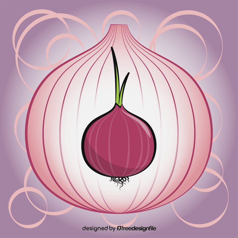 Onion vegetable vector